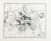 Canes Venatici or Hunting Dogs by Hevelius - RARE Large 1960s Vintage Star Chart, Constellations Print, Astronomy, Astrology (5)