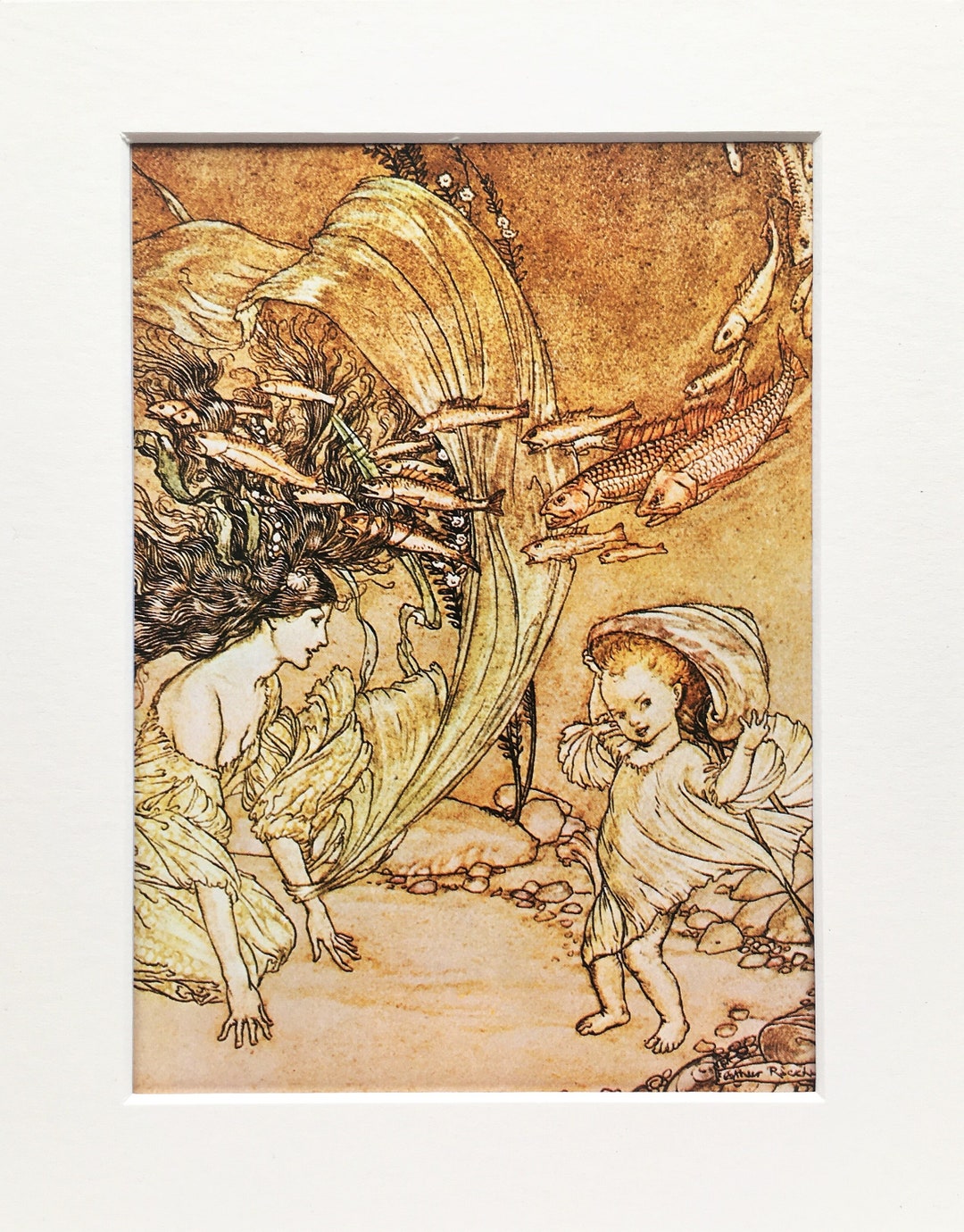 ARTHUR RACKHAM 1970s Vintage Mounted Colour Print Undine Fairy Tale ...