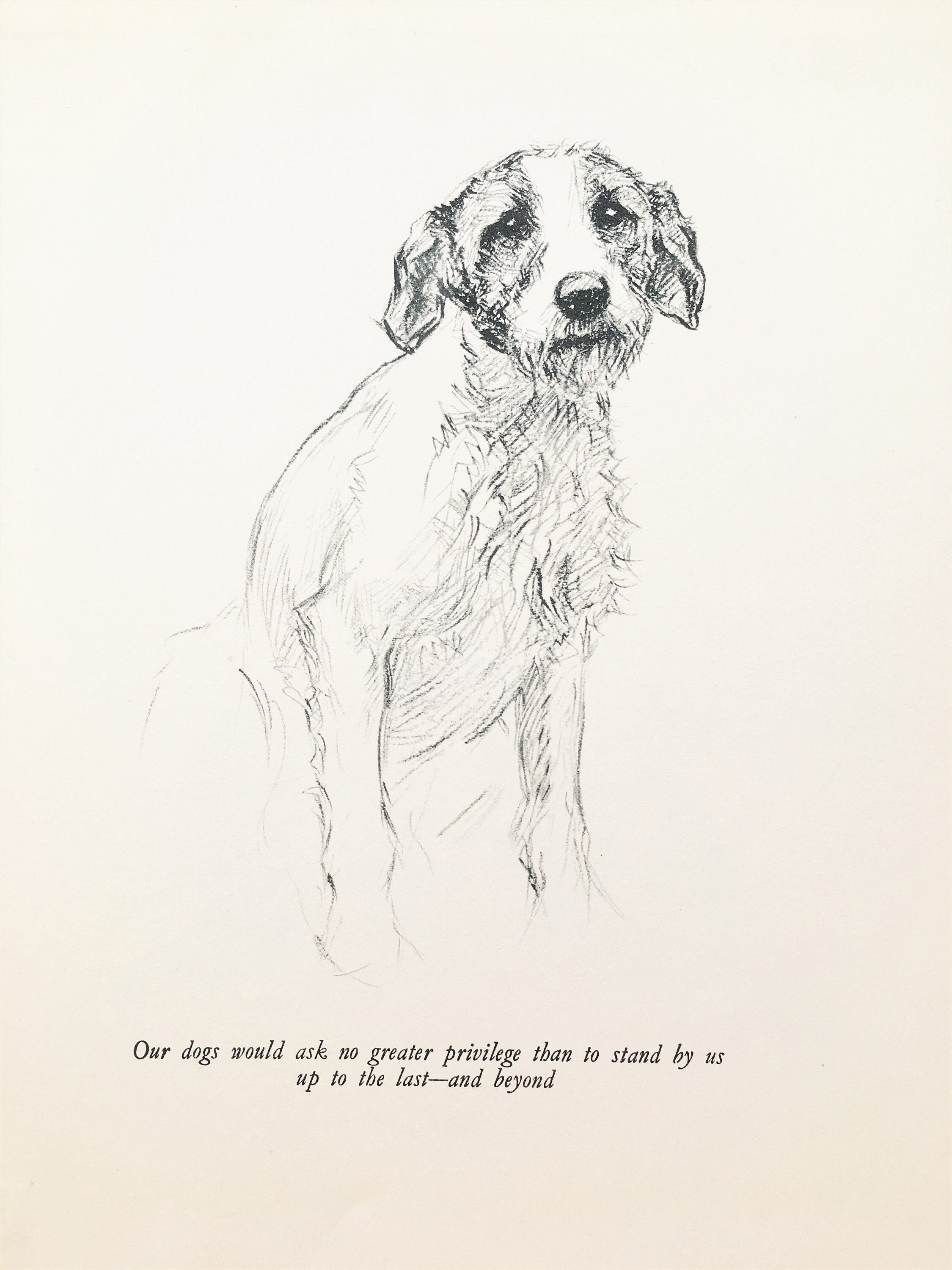 WIRE FOX TERRIER LOVELY VINTAGE 1930'S DOG ART PRINT by KF BARKER READY MOUNTED
