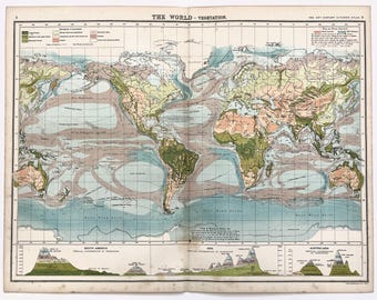 World Vegetation Map, 1898 Original Antique Folding Map