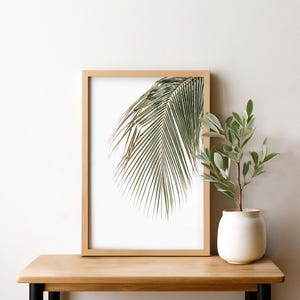 Poster palm leaf 20 x 30 cm/30 x 40 cm