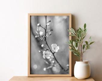 Quadro con fiori di ciliegio da 20 x 30 cm a 50 x 70 cm