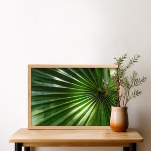 Poster palm leaf 20x30/30x40/50x70