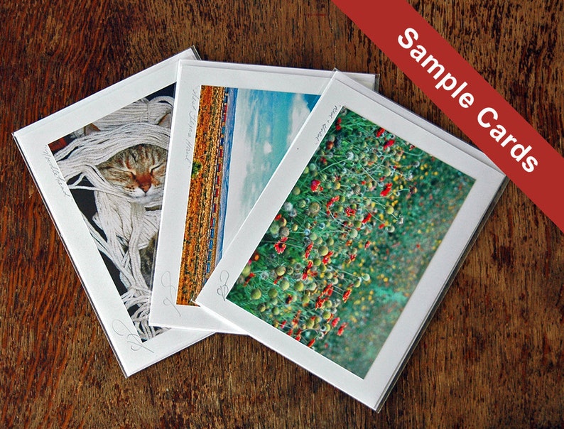 GREETINGS FROM AUSTIN Handmade 5x7 Photo Greeting Card Card Stock and