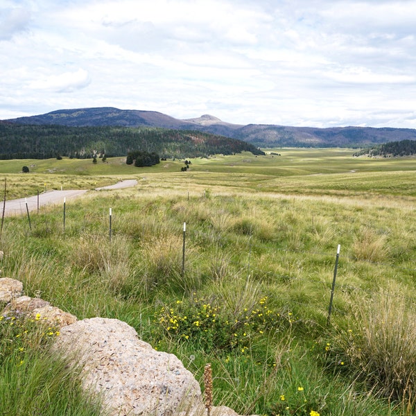 VALLES CALDERA, NM ~ Handmade 5x7 Photo Greeting Card - Card Stock and Envelope made from 100% Recycled Materials