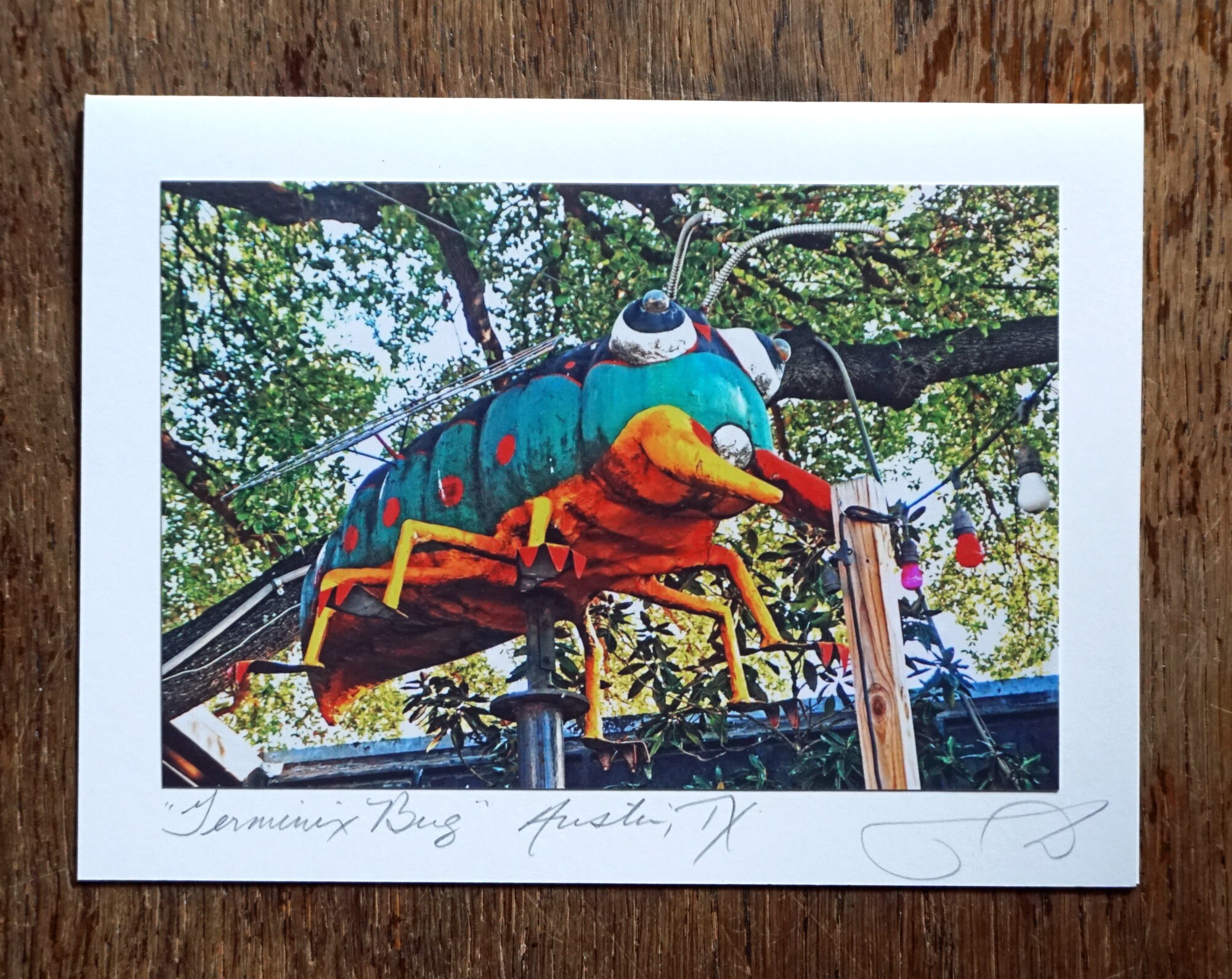 Termined Bug TERMINIX BUG ~ Handmade 5x7 Photo Greeting Card - Card Stock and ...