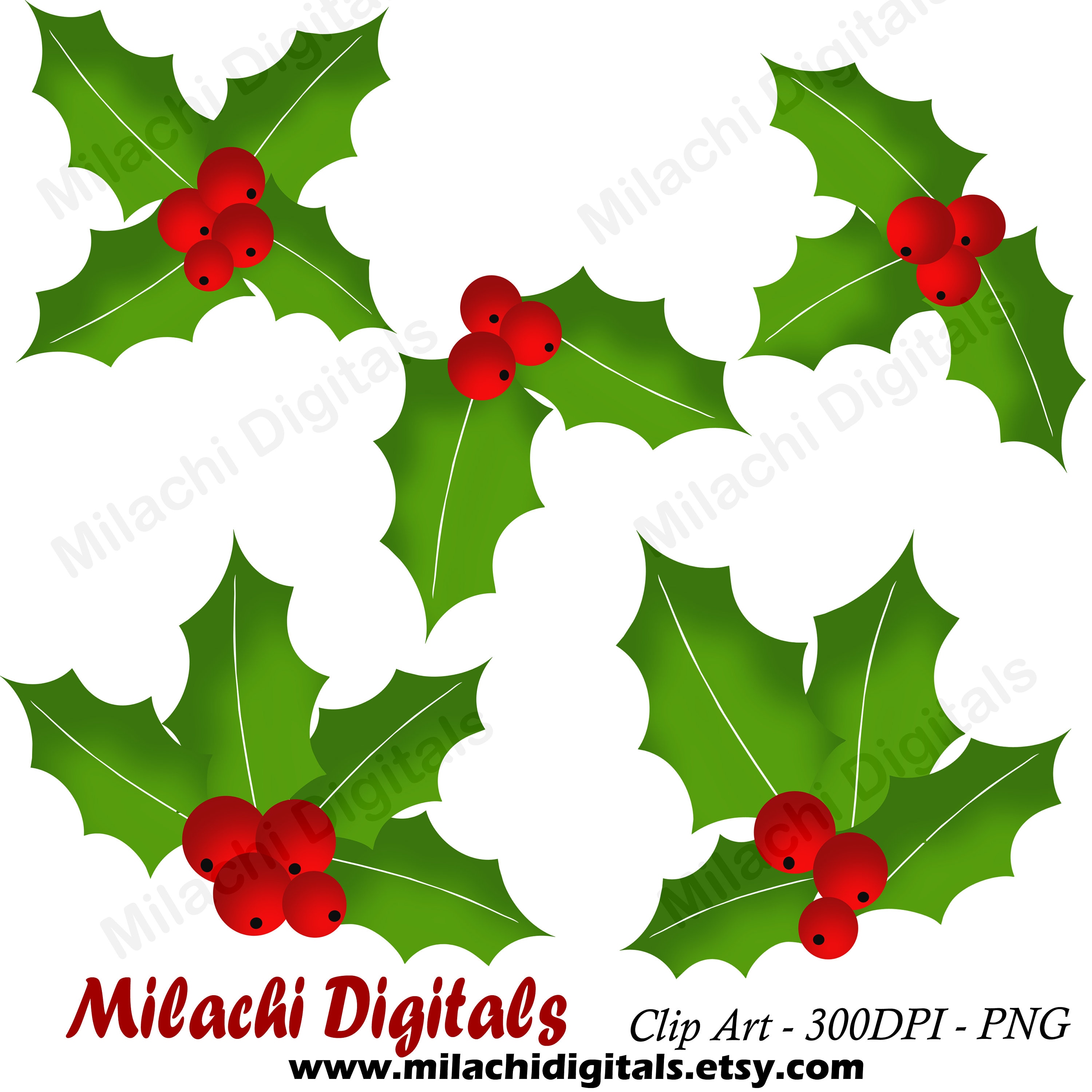 ClipArt foglia di Holly clipart clipart foglia di Natale clip art