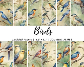 May include: Twelve digital papers featuring a watercolor pattern of colorful birds on a green background. The papers are 8.5 inches by 11 inches and are for commercial use. The text "Birds" is in the center of the image. The website address "www.milachidigitals.etsy.com" is at the bottom of the image.