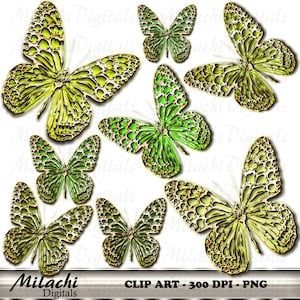 Goud groen vlinders digitale illustraties - commercieel gebruik - Instant Download - M145