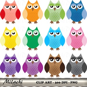 Cute Owl clipart, digital clip art, printable, commercial use - Instant Download - M262