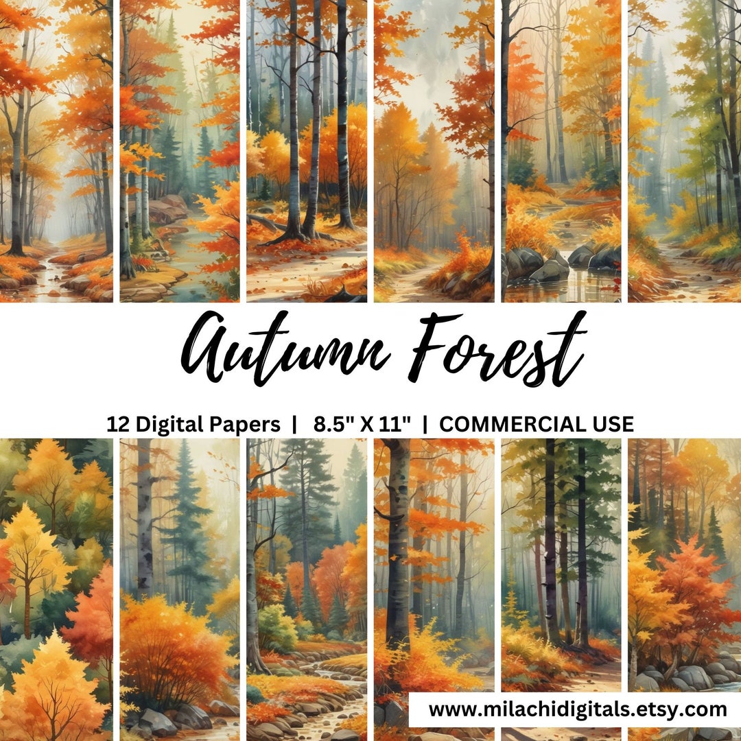 Autumn Forest Digital Paper Pack 8.5"x11", Fall Junk Journal Printable ...