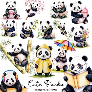 Clipartset schattige panda, 12 png-afbeeldingen met hoge resolutie met transparante achtergrond, schattige panda in regenjas, lezen, bamboe eten