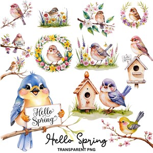 May include: A watercolor illustration of a spring scene with birds, flowers, and birdhouses. The birds are blue, brown, and green. The flowers are yellow, pink, and purple. The birdhouses are brown and white. The text "Hello Spring" is written in black.