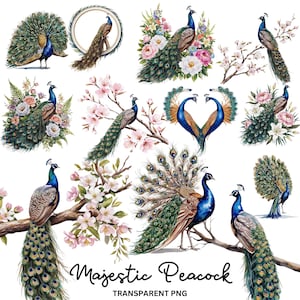 Colección de imágenes prediseñadas de pavo real majestuoso, 12 PNG con fondo transparente, elegantes imágenes prediseñadas de aves, pavo real de acuarela, descarga instantánea