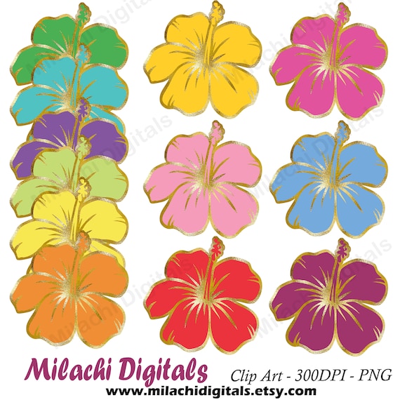 Hibiscus clipart flowers clip art gold hawaiian tropical | Etsy