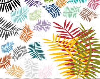 Fern Leaf Digital Clip Art - Commercial Use - Instant Download - M179