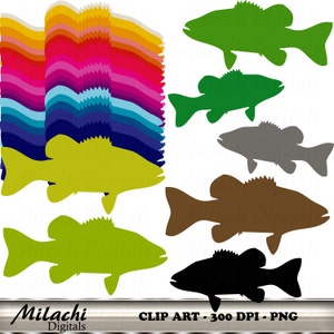 Clipart digital de peixe arco-íris - uso comercial - download instantâneo - M104