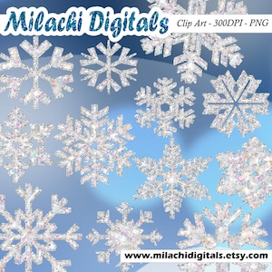 Glitter Snowflakes clipart, frozen snowflakes, digital clip art, instant download, printable, commercial use- M301