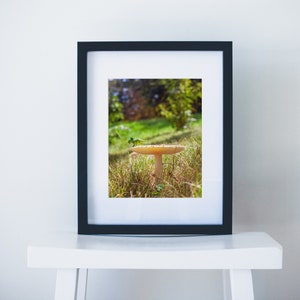 Dinosaur Fine Art Prints | Giclée Fine Art Print | Dinos | Dinosaur