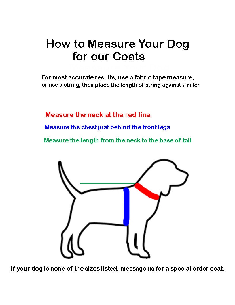 mossy oak dog clothes