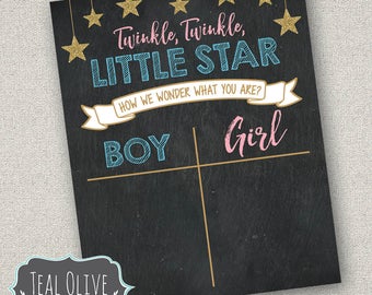 Twinkle Twinkle Little Star Gender Reveal sign - Cast Your Votes - INSTANT DOWNLOAD - 8x10 sign to tally votes