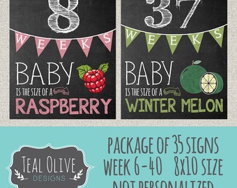 Weekly Pregnancy Chalkboard Sign - Week 6-40 Package Deal 35 Signs - Baby Size Only with fruit - 8x10 - INSTANT DOWNLOAD