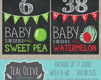 Bi-Weekly Pregnancy Chalkboard Sign - Week 6-40 Package Deal 17 Signs - Baby Size Only with fruit - 16x20 - INSTANT DOWNLOAD