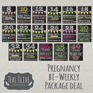 Bi-Weekly Pregnancy Chalkboard Sign - Chalkboard sign - Bi-Weekly Pregnancy Countdown - Chalkboard Pregnancy