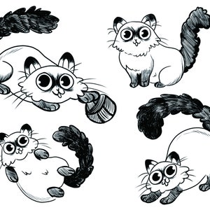 Scruffy Cat Postcard
