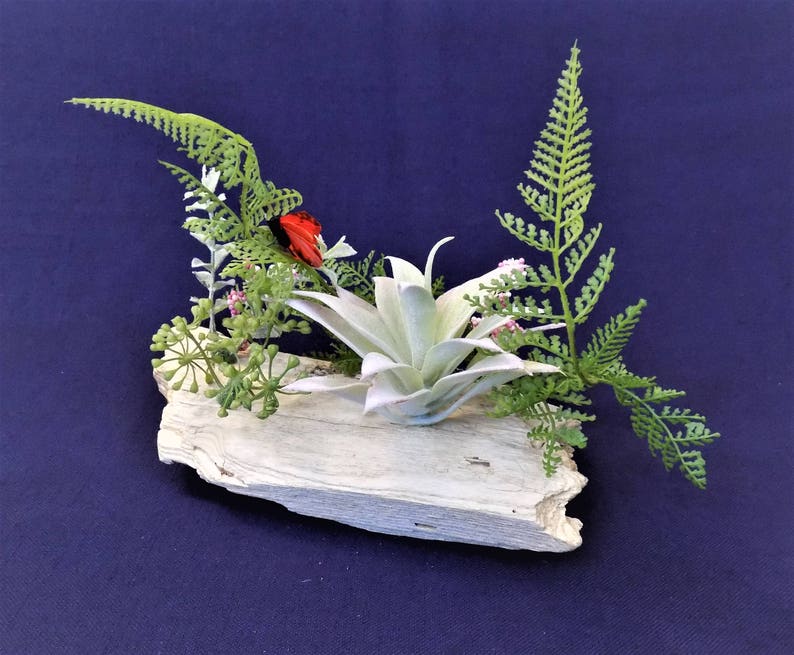 Driftwood Art Small Display Decorative Floral Arrangement Etsy