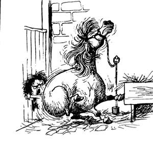 Titre de poney bande dessinée originale Norman Thelwell livre livre 1962 drôle « si il cherche constamment à scratch lui-même, suspect du mal à la peau »