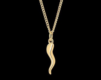 Italian Horn Necklace Set - 14K Gold Horn Pendant & Necklace - Gold Cornicello Protection Amulet Pendant - Italian Gifts for Men, Women