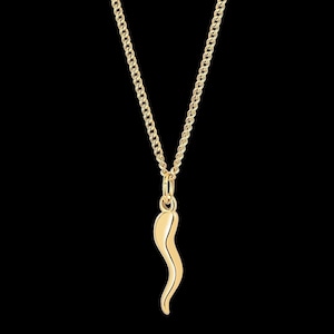 Italian Horn Necklace Set - 14K Gold Horn Pendant & Necklace - Gold Cornicello Protection Amulet Pendant - Italian Gifts for Men, Women