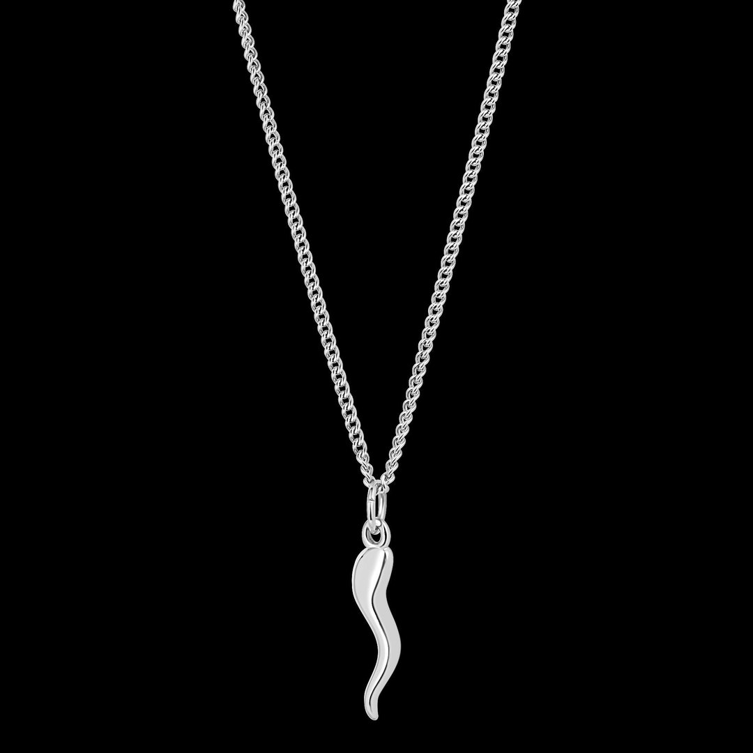 Italian Horn Necklace Set Silver Horn Pendant & Necklace Silver
