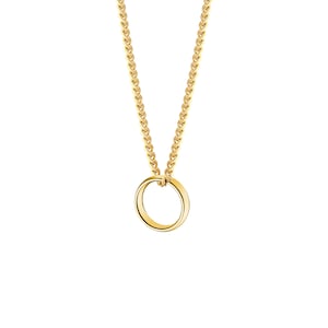 May include: A gold chain necklace with a simple gold circle pendant.