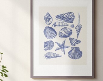 Seashell Art Print, Beachy Wall Art, Seashell Print, Beach Decor, Ocean Prints, Seashell Wall Art, Nautical Decor, Seashell Poster