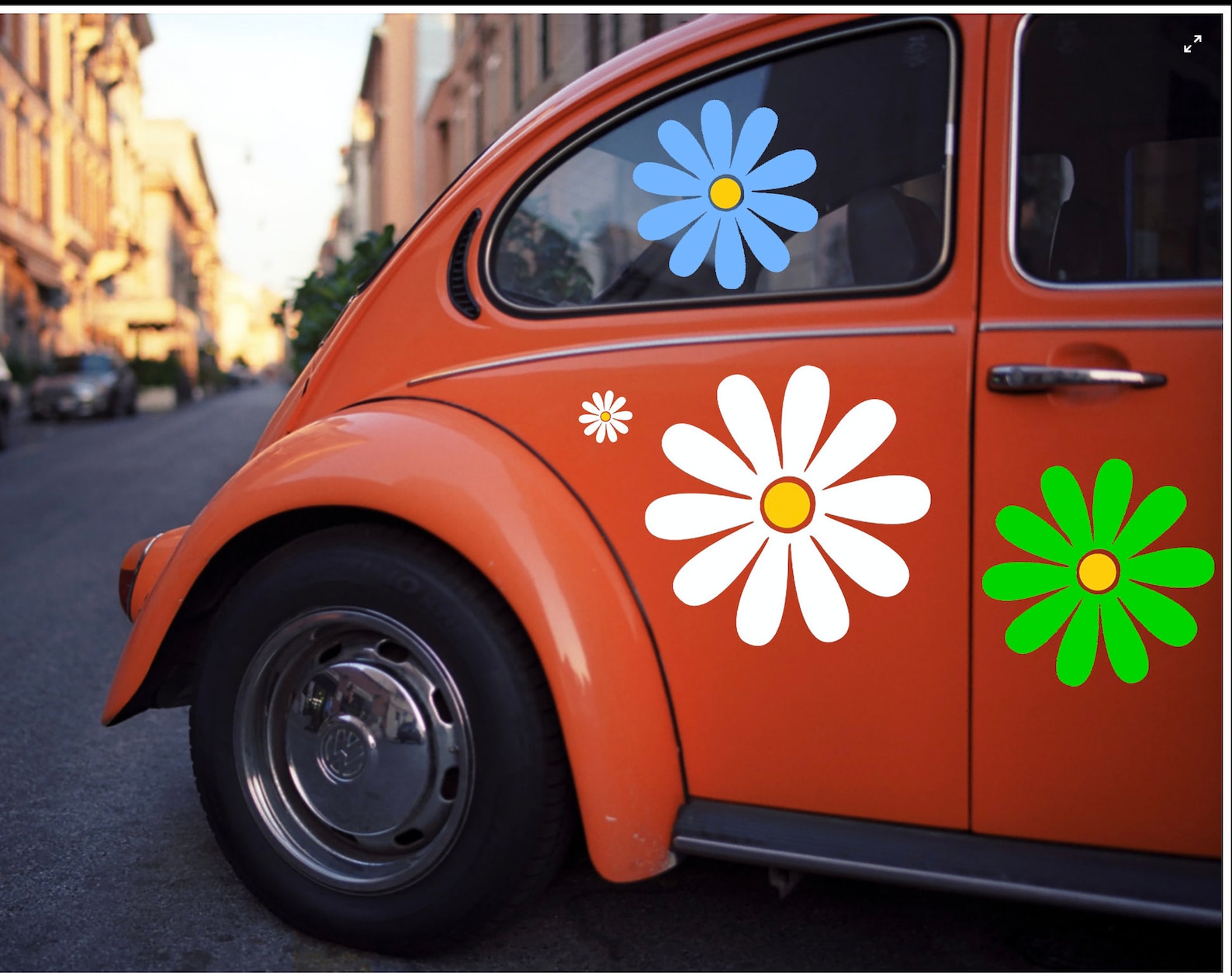Large Daisy Decals 12