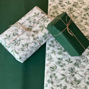 Muster Seidenpapier Eukalyptus & Plain Grün Mixed Pack Luxus Sheets Eco Geschenkverpackung recycelbar biologisch abbaubar für Kunsthandwerk, Körbe Verpackung