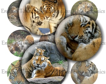 Obrazy nakrętek od butelek z tygrysem – cyfrowy kolaż z okręgami o średnicy 2,5 cm (wzór PDF)