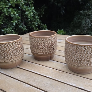 May include: Three cylindrical ceramic cups with a smooth, light brown base and a textured, rugged, bark-like finish on the upper exterior. The interior of each cup is a smooth, light tan colour, and the rims are rounded and finished in a matching brown.