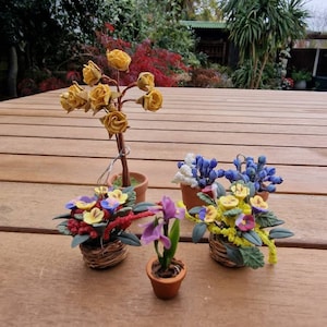 Puede incluir: Una colección de plantas en maceta en miniatura con flores amarillas, azules, moradas y rojas. Las plantas están en diferentes macetas, incluyendo una cesta de mimbre y una maceta de terracota.