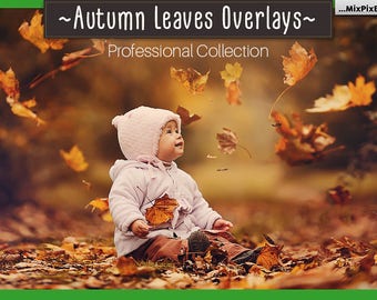 Autumn Leaves Overlays, PNG, Falling Leaves , Fall leaves, Autumn Leaf, realistic, natural look, mini session, raining leaves