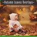 Pinny Boulton reviewed Autumn Leaves Overlays, PNG, Falling Leaves , Fall leaves, Autumn Leaf, realistic, natural look, mini session