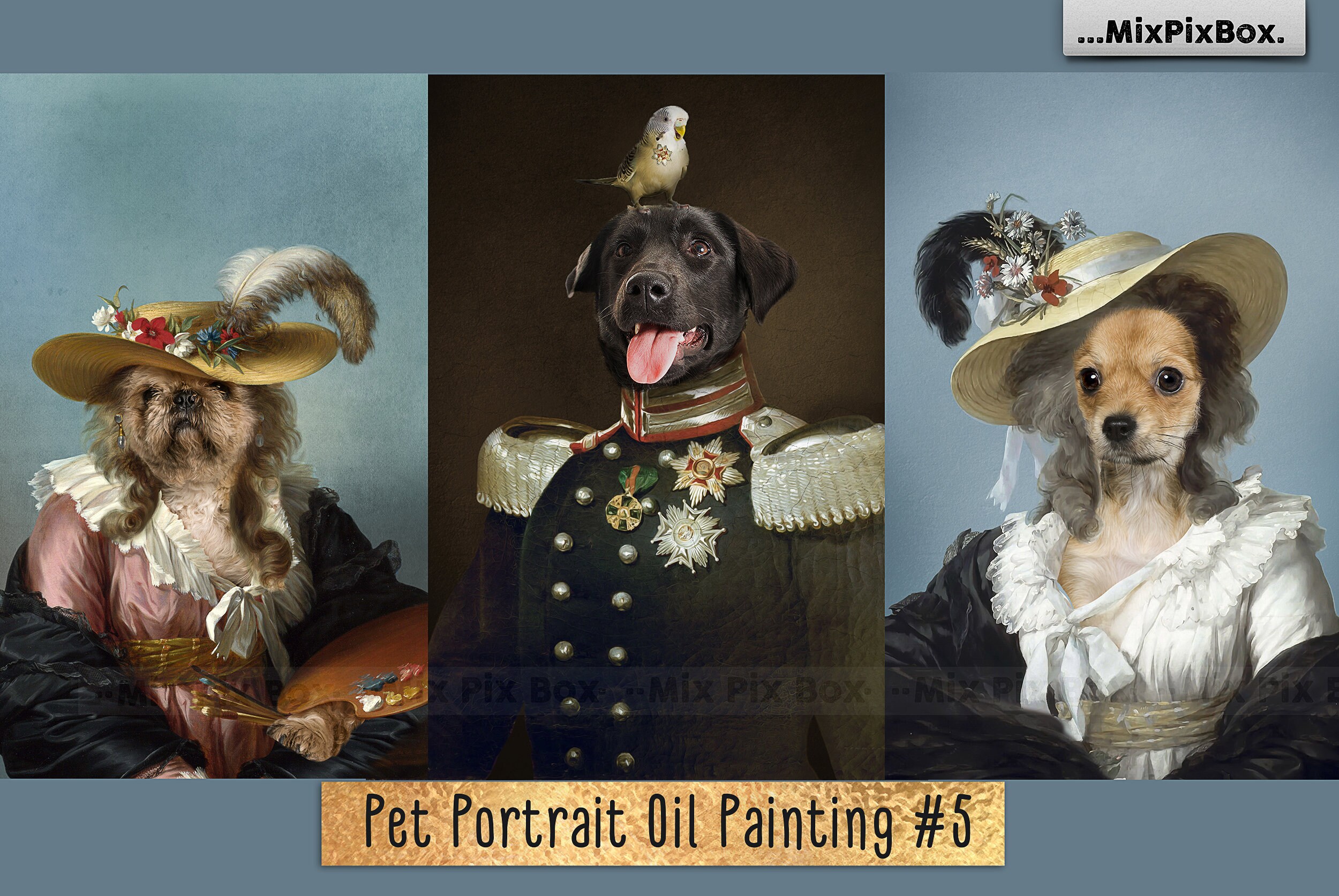 Pet portrait background template digital Etsy