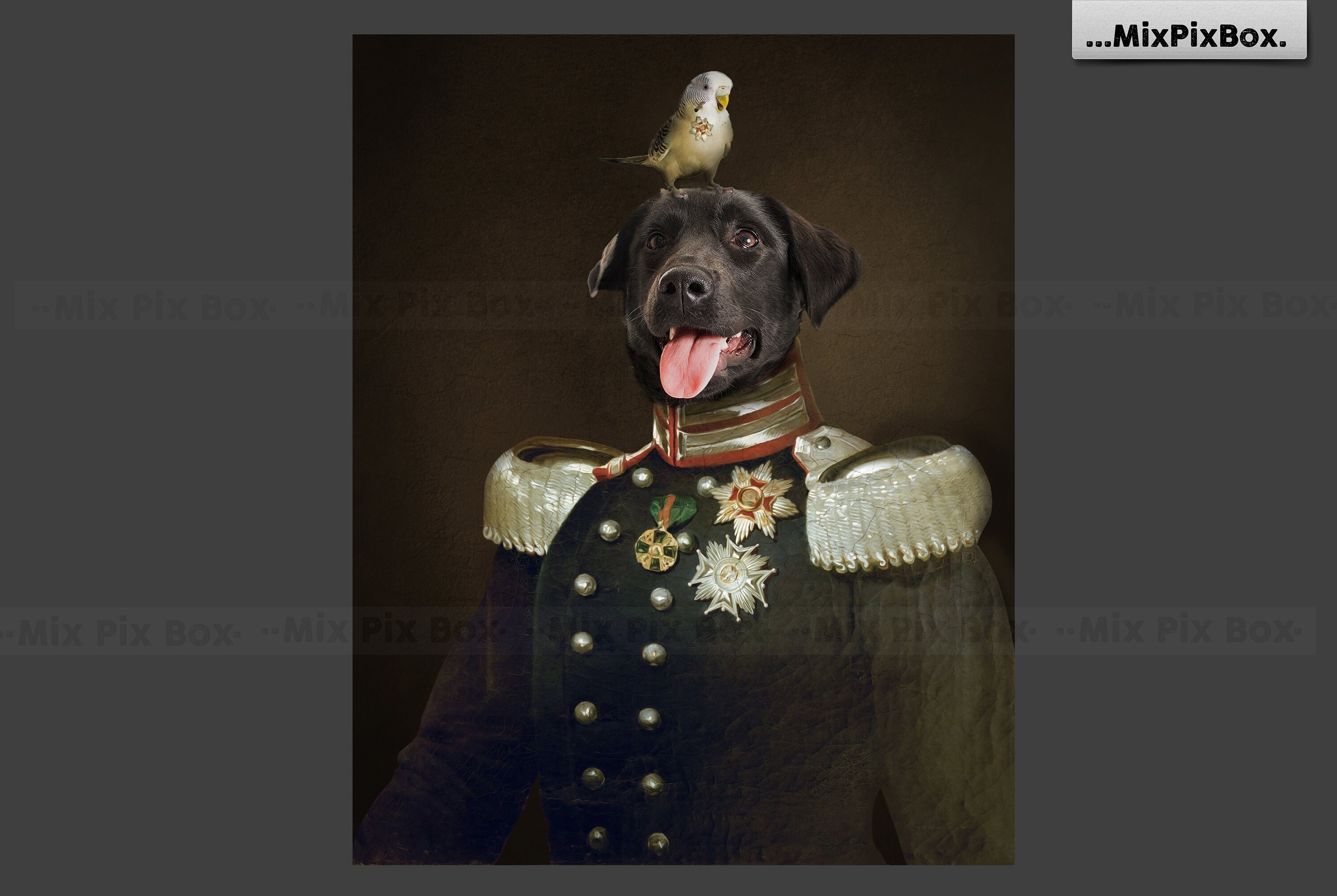 Pet Portrait Background Template Photoshop Digital Etsy pet-portrait-background-template-photoshop-digital-etsy