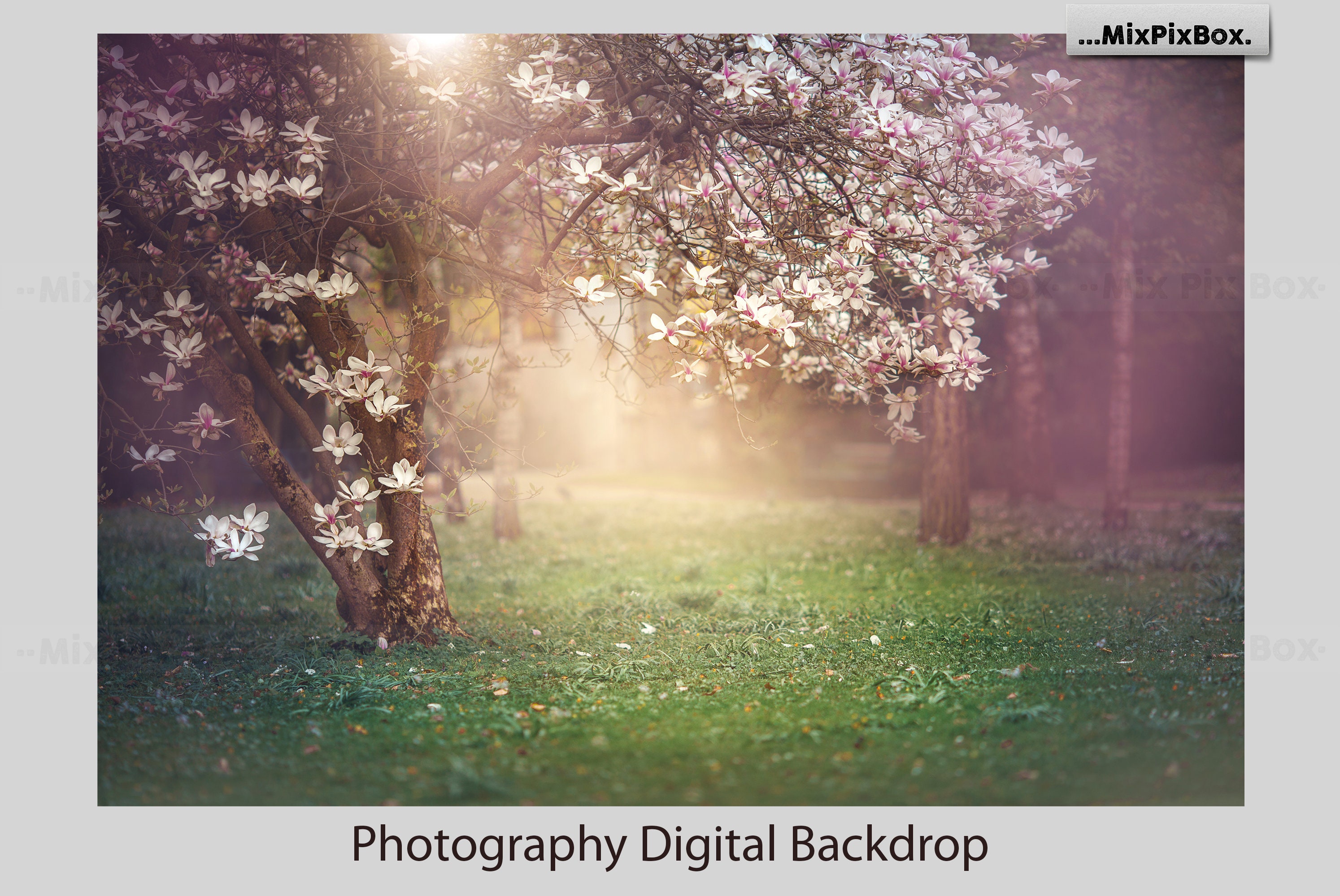 Spring backdrop Photoshop Digital background for | Etsy