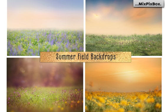 summer field backdrop photoshop digital background for photographers field spring compositing blooming flowers evening sunset by mixpixbox catch my party summer field backdrop photoshop