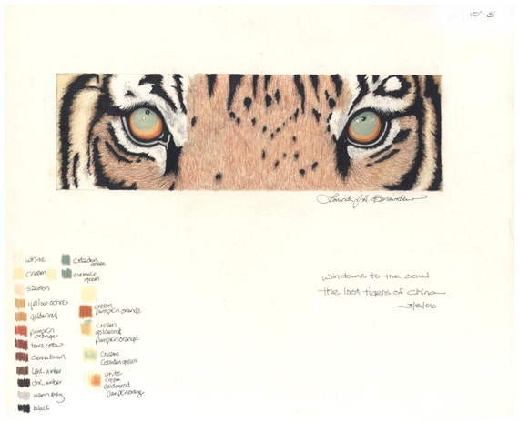 Yeux De Tigre Photo Realiste Prismacolor Crayons De Couleur Etsy Yeux De Tigre Photo Realiste Prismacolor Crayons De Couleur Etsy