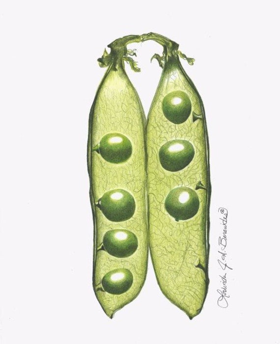 Impression De Petits Pois Dans Une Cosse Photo Realiste Art Etsy