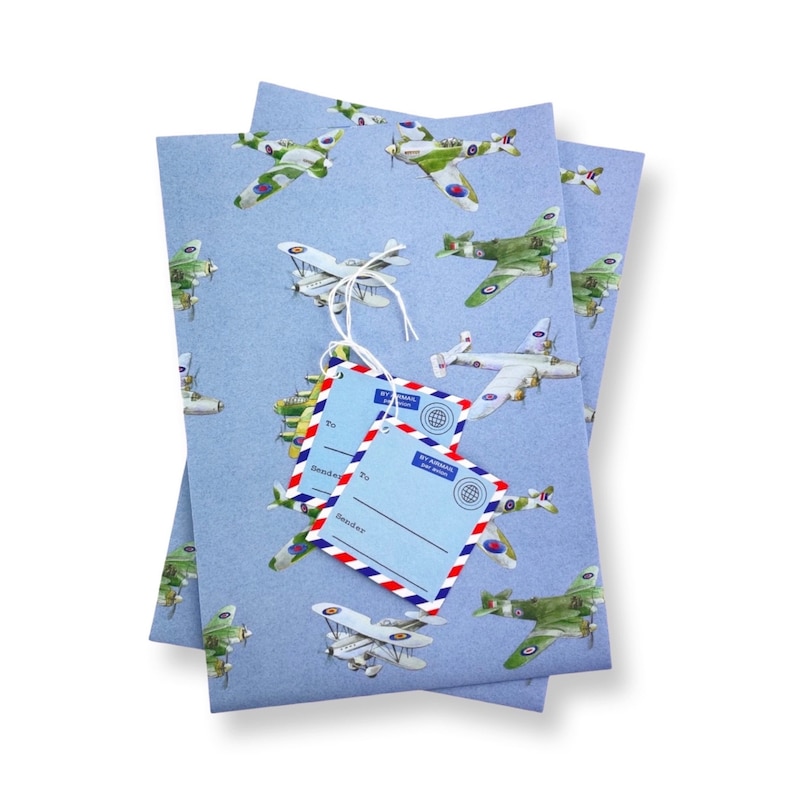 Plane, Aeroplane, Airplane Wrapping Paper Recycled and Recyclable 2